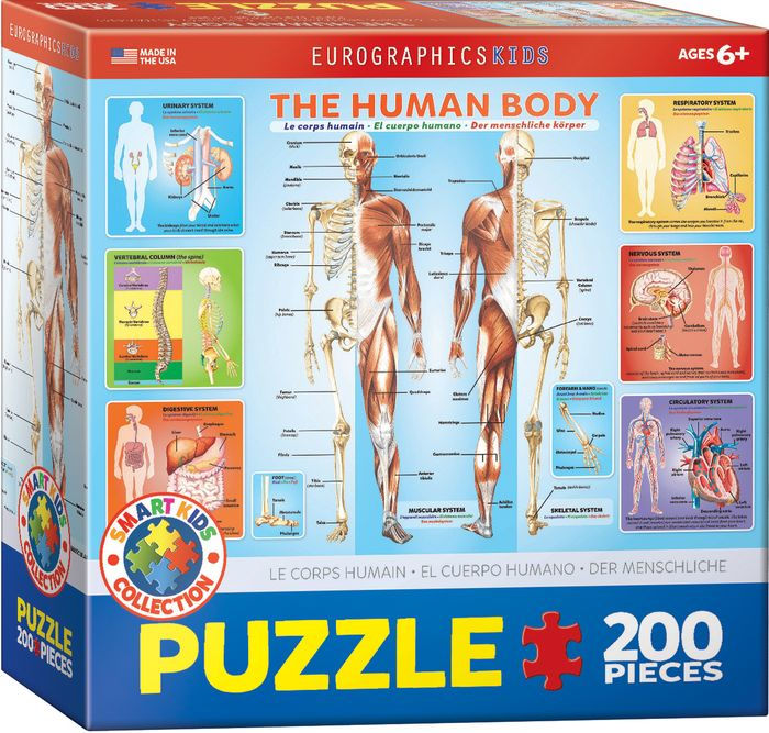 Illustrated Periodic Table of the Elements 200-Piece Puzzle
