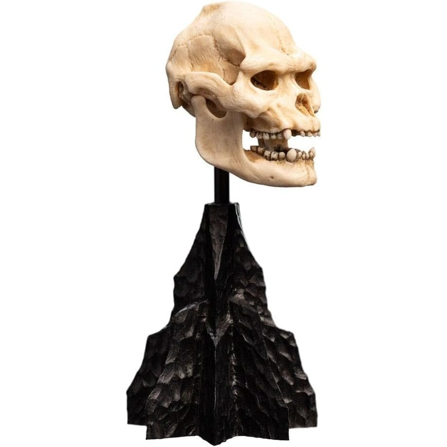 Lotr - Skull Of Lurtz Polystone Statue