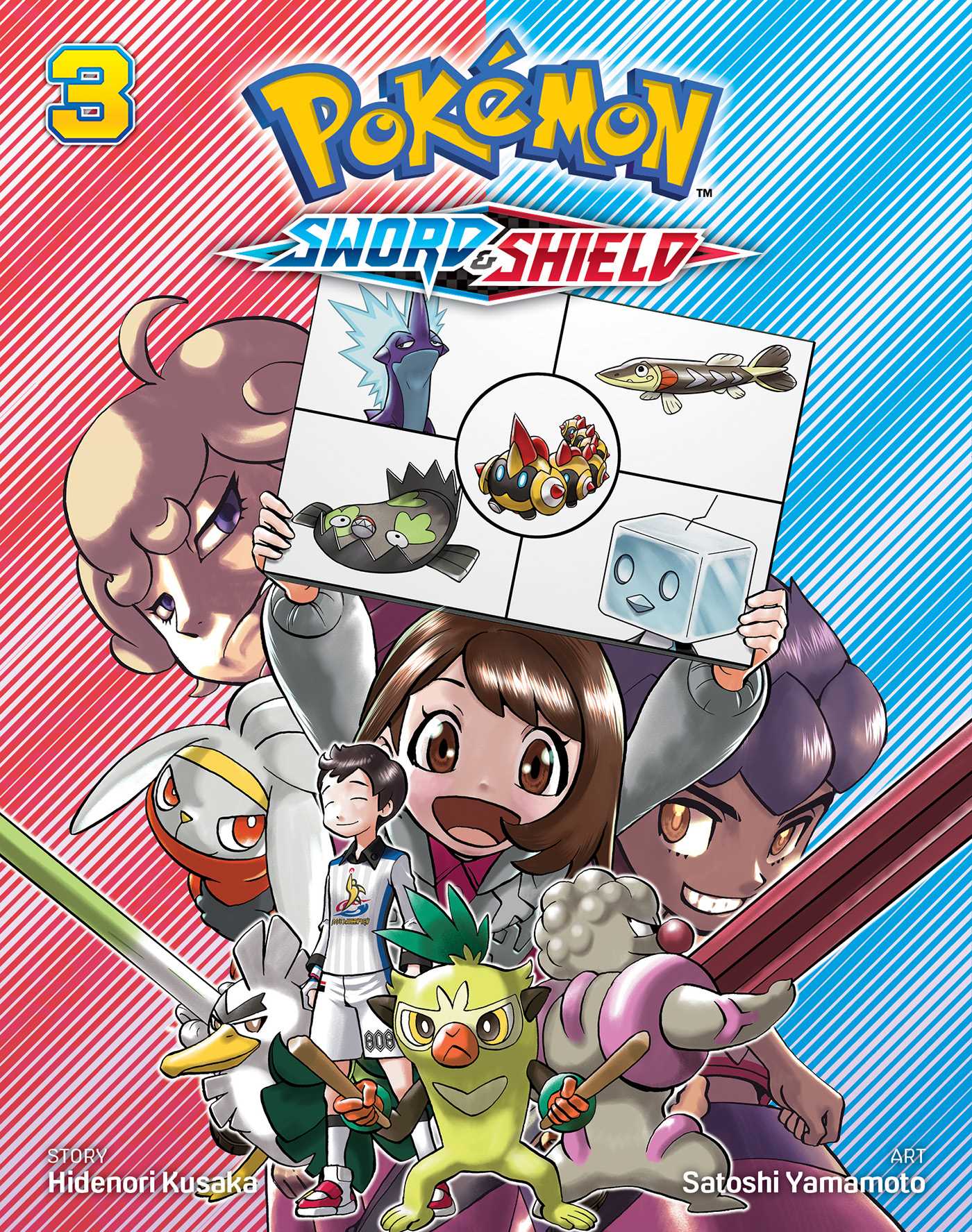 Pokemon Sword & Shield Vol. 3