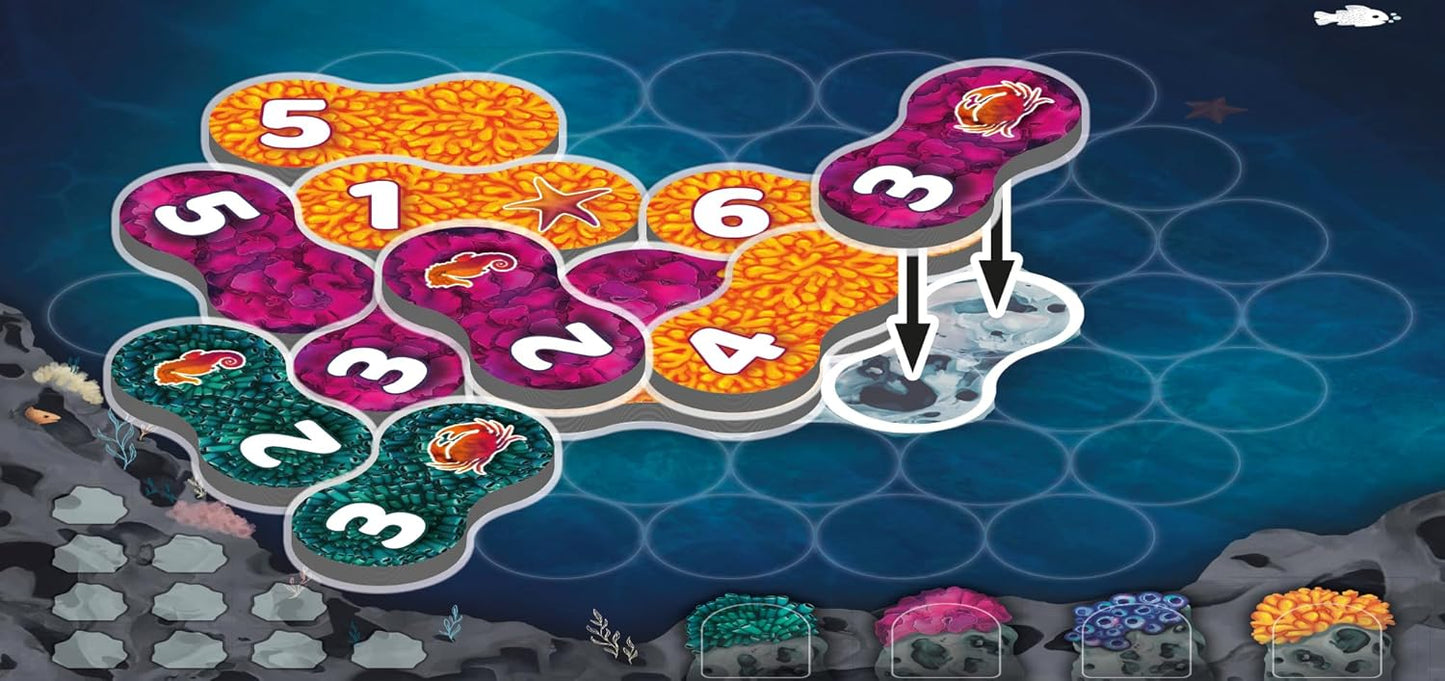 Lumicora - Cats In Hat Inc.