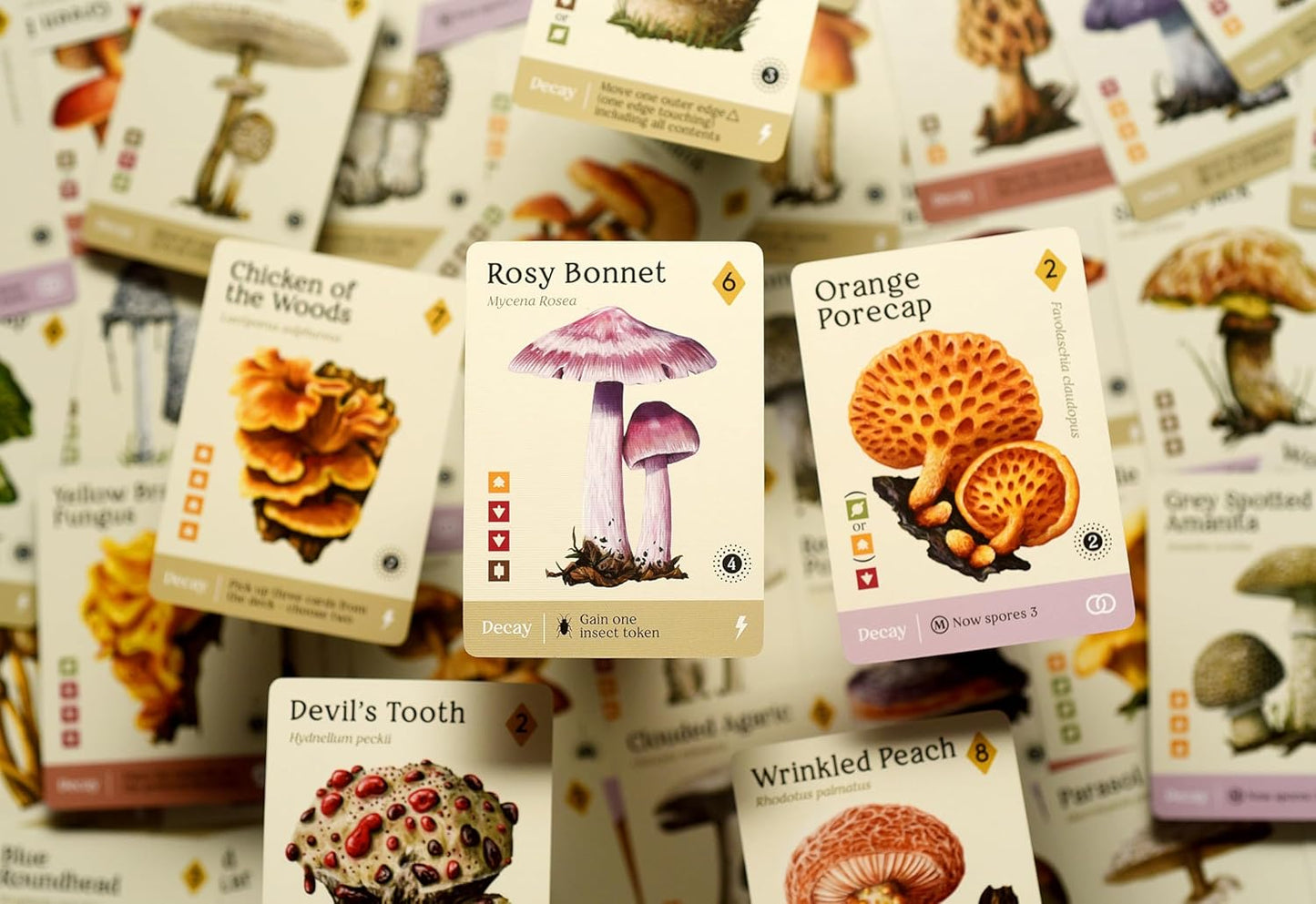 Mycelia By Kids Table Board Gaming