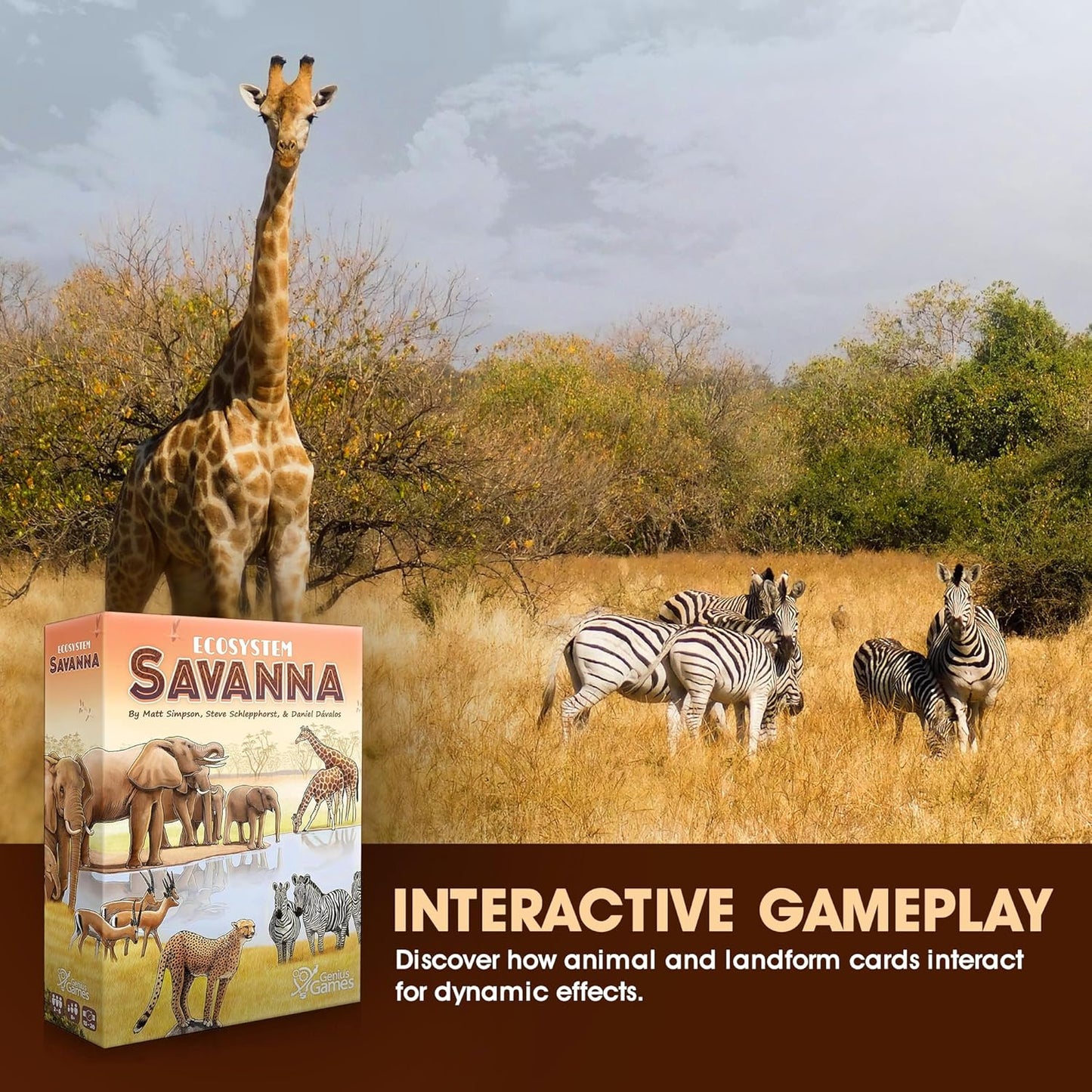 Ecosystem: Savanna - Cats In Hat Inc.