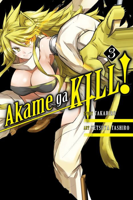 Akame Ga Kill Vol. 3