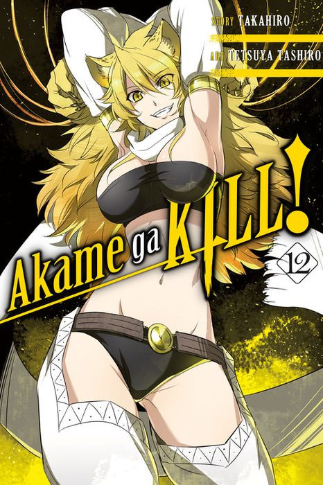 Akame Ga Kill Vol. 12