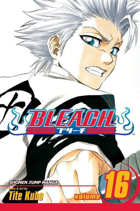 Bleach Vol. 16