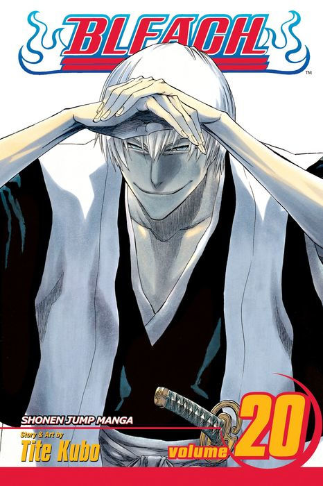 Bleach Vol. 20