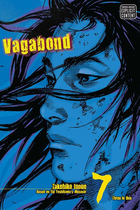Vagabond Vizbig Edition Vol. 7