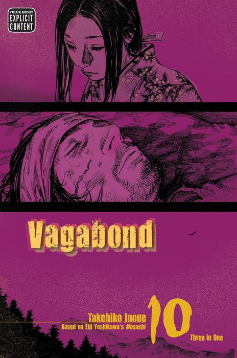 Vagabond Vizbig Edition Vol. 10
