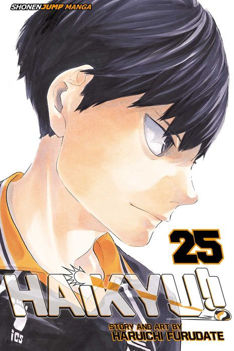 Haikyu Vol. 25