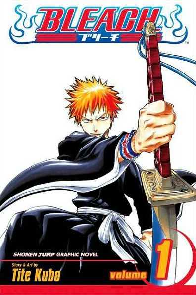 Bleach Vol. 1