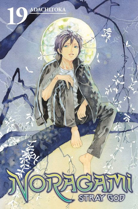 Noragami Stray God Vol.19