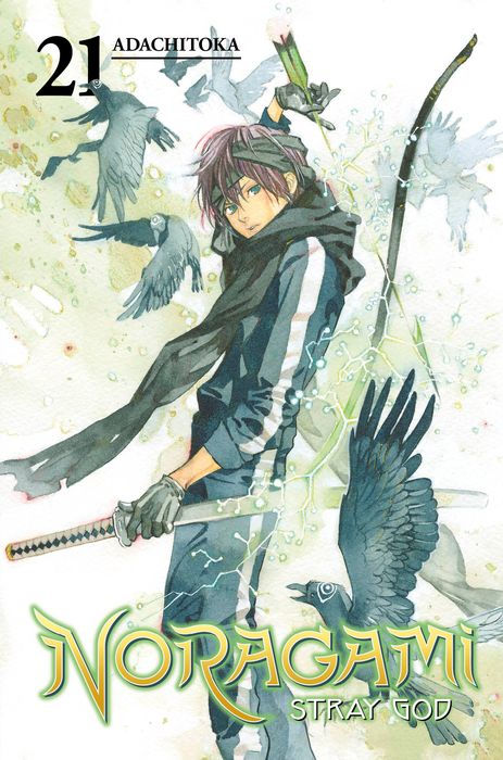 Noragami Stray God Vol.21