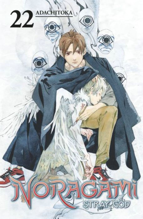 Noragami Stray God Vol.22