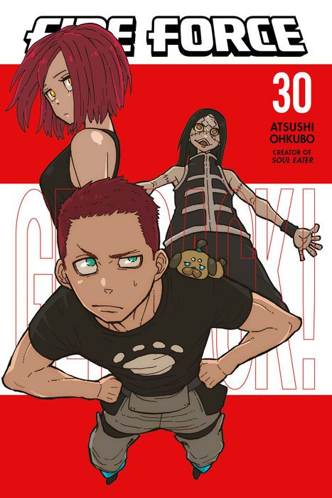 Fire Force Vol.30