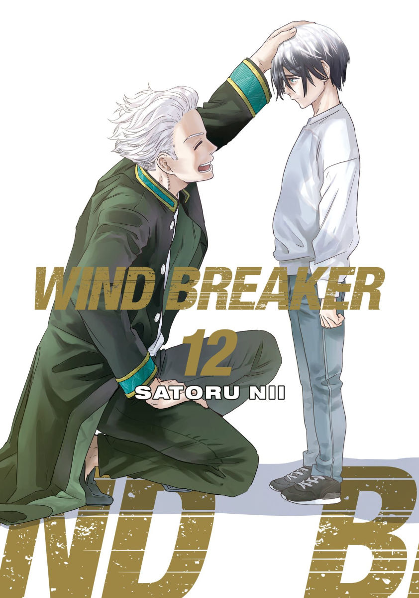 Wind Breaker Vol.12