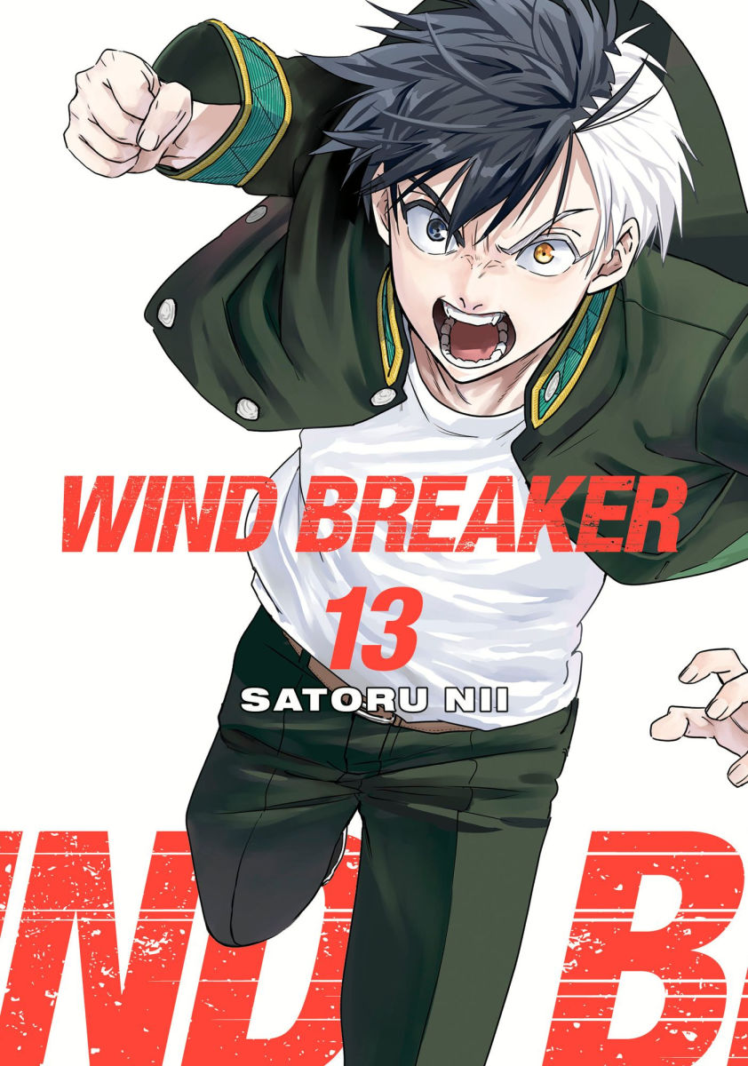 Wind Breaker Vol.13