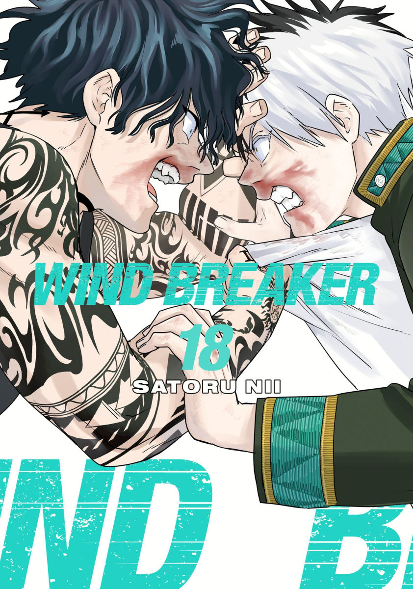 Wind Breaker Vol.18