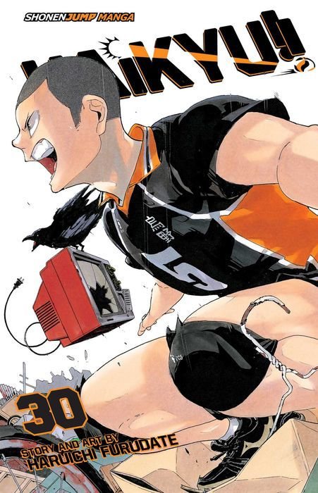 Haikyu Vol. 30
