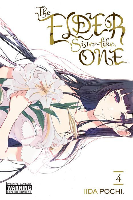 The Elder Sister-Like One Vol. 4