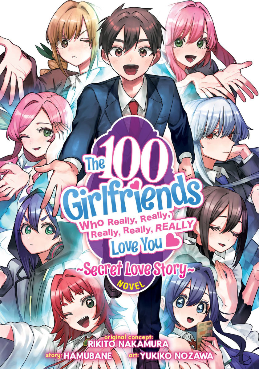 The 100 Girlfriends Who Really Really Really Really Really Love You Secret Love Story Light Novel
