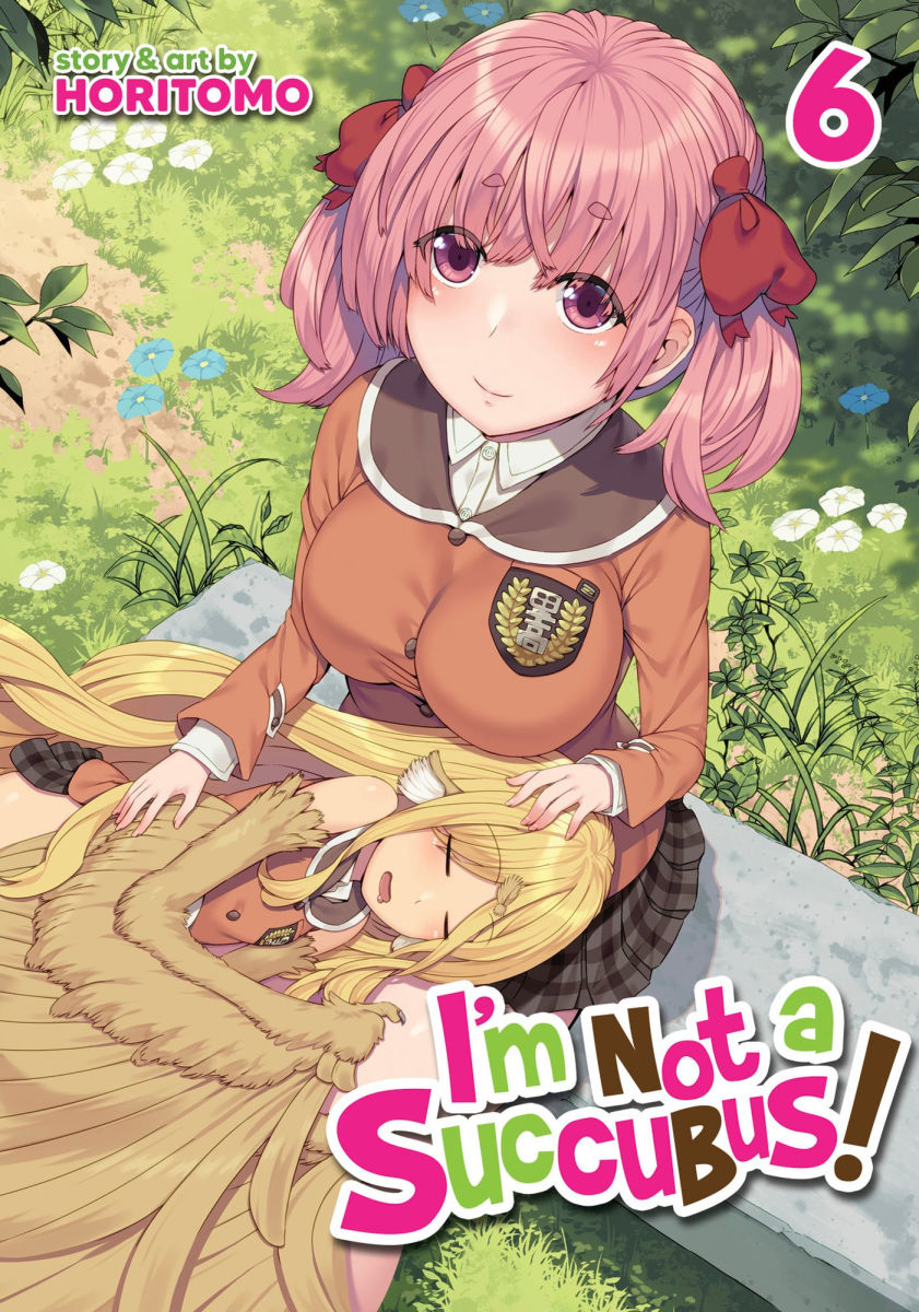 I'm Not a Succubus Vol. 6