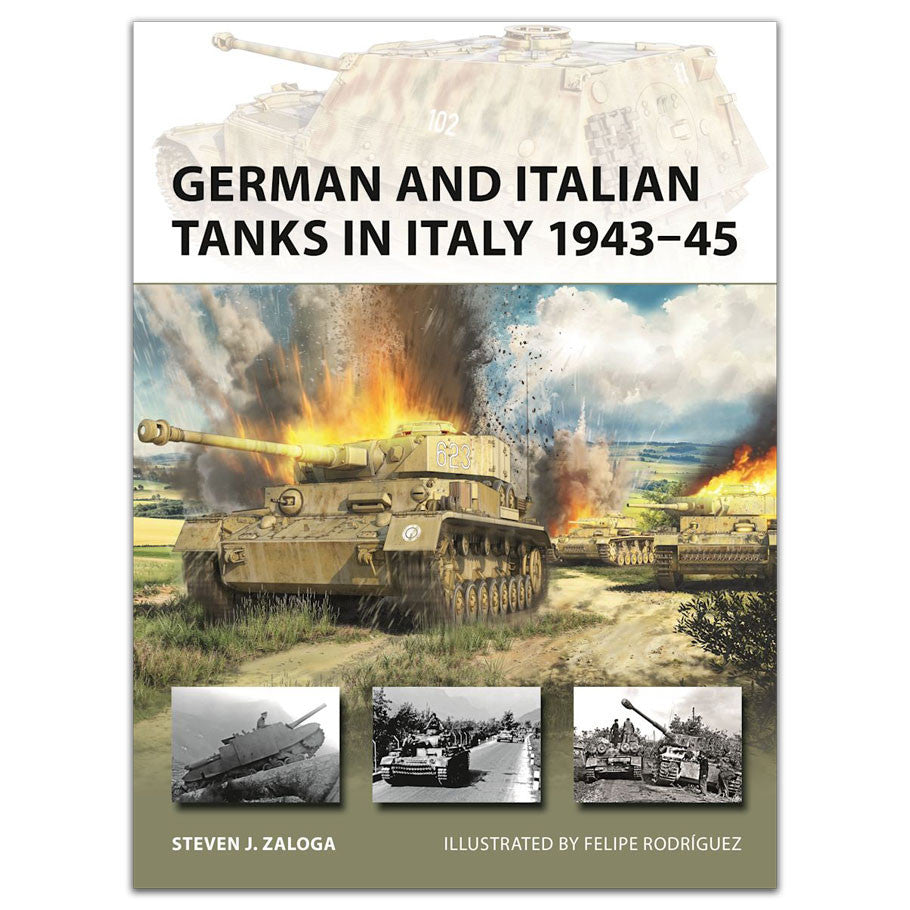 German And Italian Tanks In Italy 1943–45