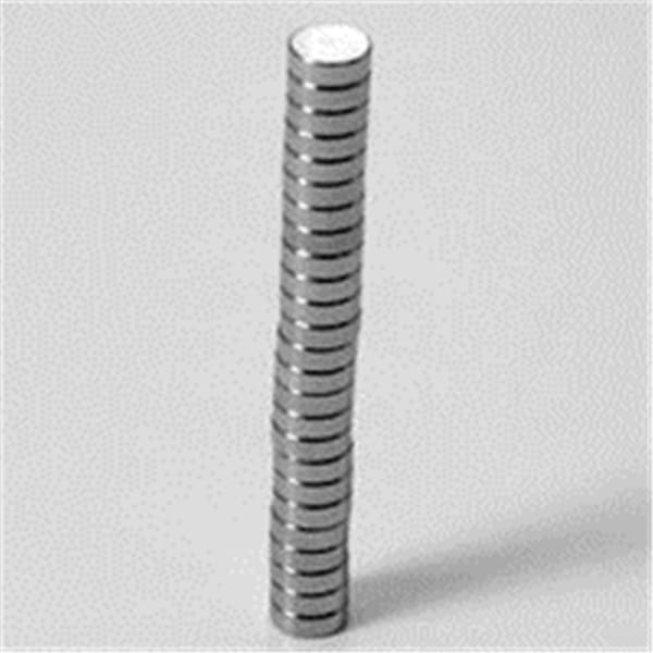 Magnets: 3/16 in x 1/16 in (25) By Primal Horizon