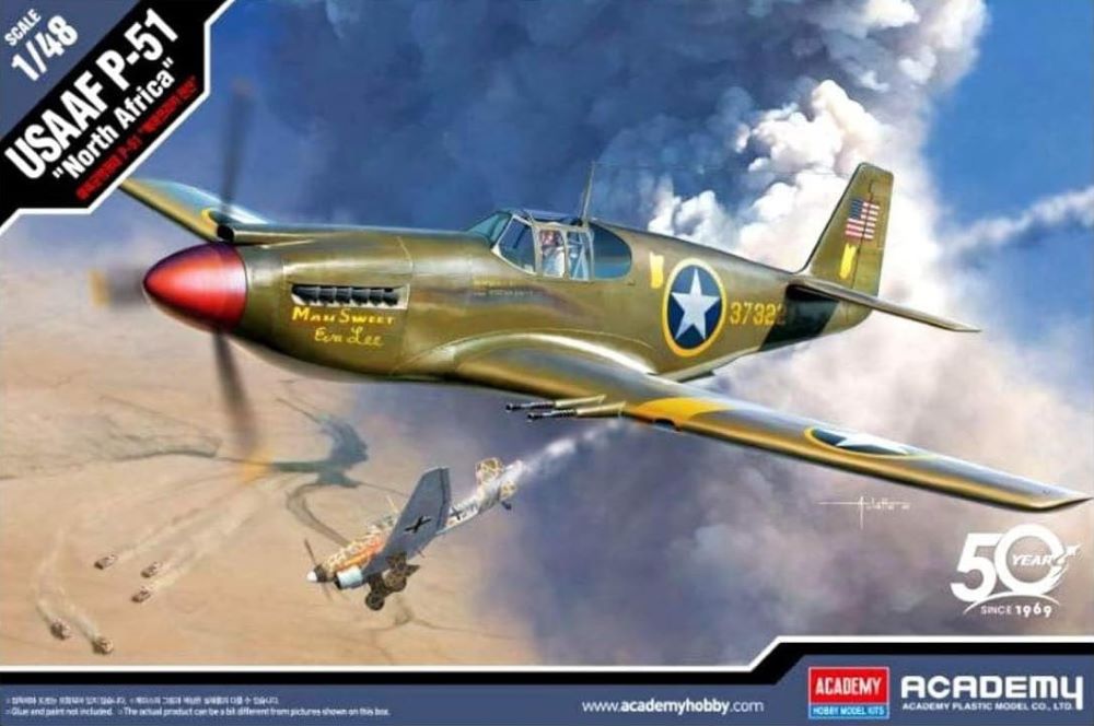 1/48 P51 USAAF Fighter North Africa