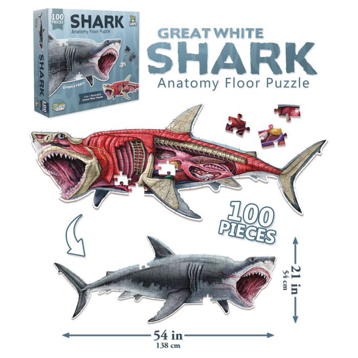 Puzzle: Animal Anatomy: Floor Puzzle: Shark 100pc - Cats In Hat Inc.