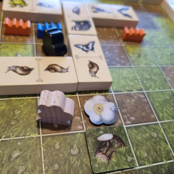 Renature Valley Expansion - Cats In Hat Inc.