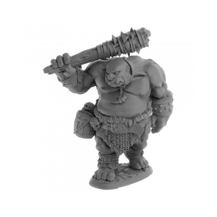 Dungeon Dwellers: Ogre Guard - Cats In Hat Inc.