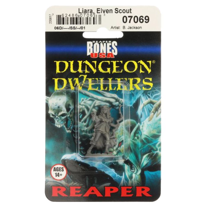 Dungeon Dwellers: Elven Scout Liara - Cats In Hat Inc.