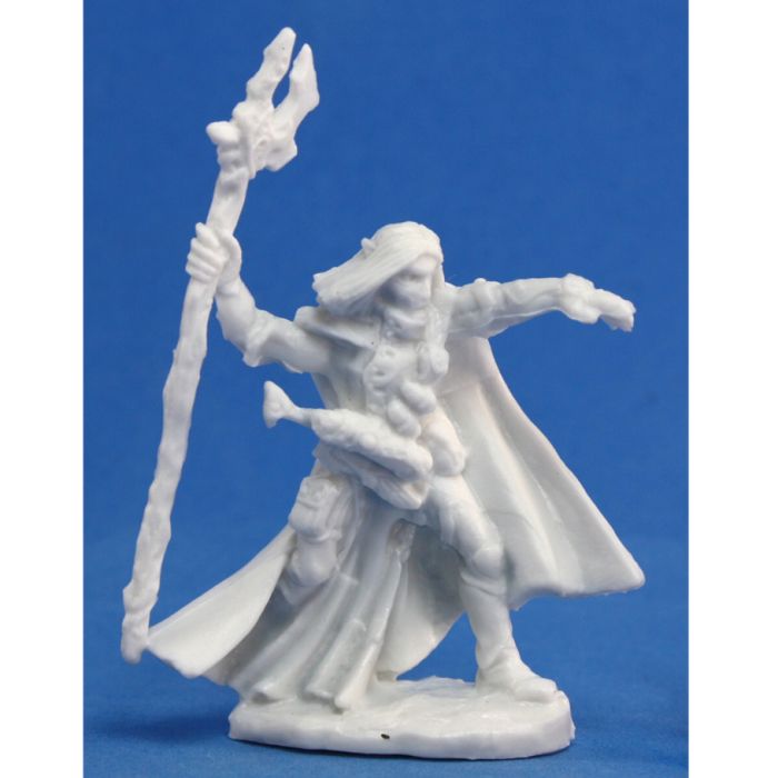 Bones: Elquin, High Elf Adventurer - Cats In Hat Inc.