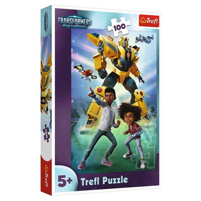Puzzle: The Transformers Team