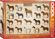 1000-Piece Puzzle