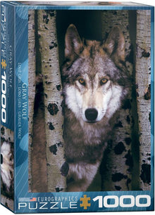Gray Wolf