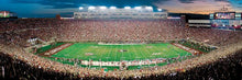 Florida State 1000 Piece Puzzle: Doak Campbell Stadium Tallahassee FL