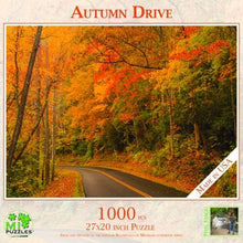 Autumn Drive - 1000 Piece Jigsaw Puzzle