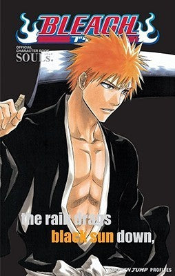 Bleach Souls. Official Character Book [With Stickers]