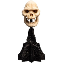 Lotr - Skull Of Lurtz Polystone Statue