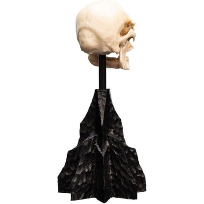 Lotr Trilogy - Skull Of A Mordor Orc Miniature