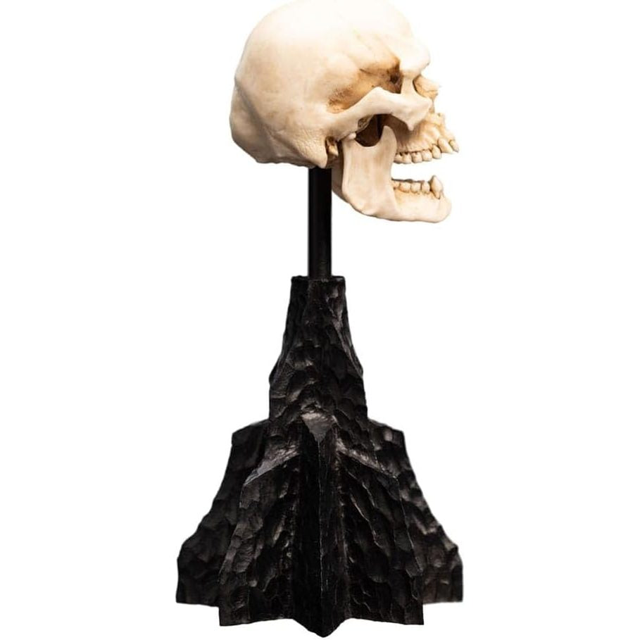 Lotr Trilogy - Skull Of A Mordor Orc Miniature