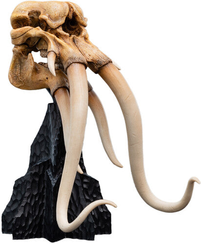 Lord Of The Rings Trilogy - Skull Of A Mumak