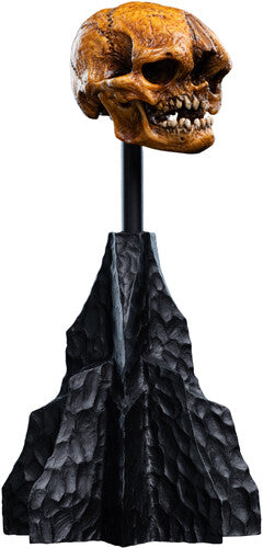 Hobbit Trilogy - Skull Of A Misty Mountain Goblin