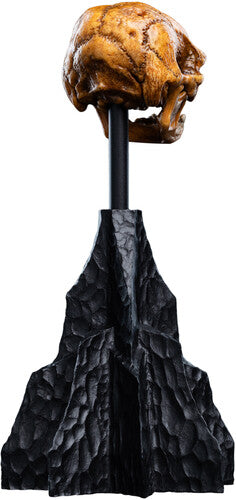 Hobbit Trilogy - Skull Of A Misty Mountain Goblin