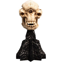 Lotr - Skull Of A Cave Troll Polystone Statue