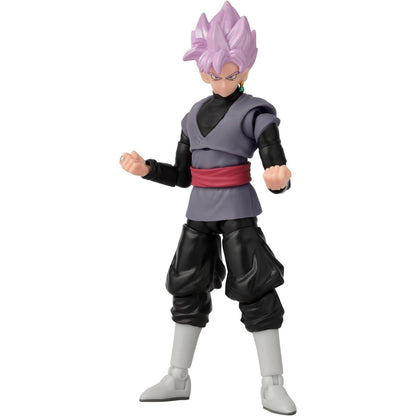 Dragon Ball Super Evolve Goku Black Super Saiyan R