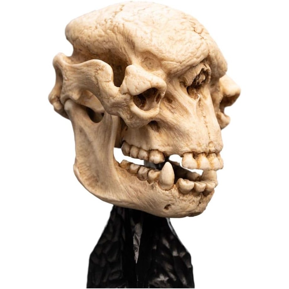 Lotr - Skull Of A Cave Troll Polystone Statue