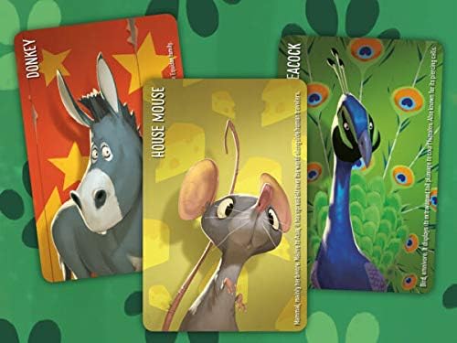 Similo: Animals