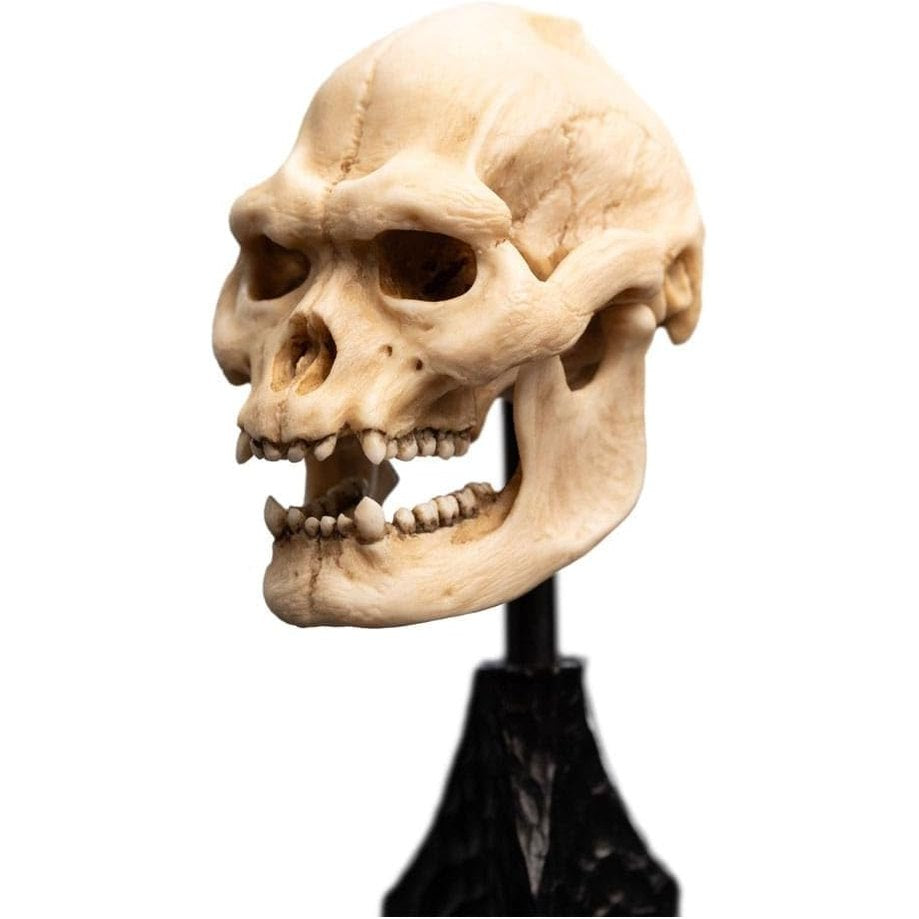 Lotr - Skull Of Lurtz Polystone Statue